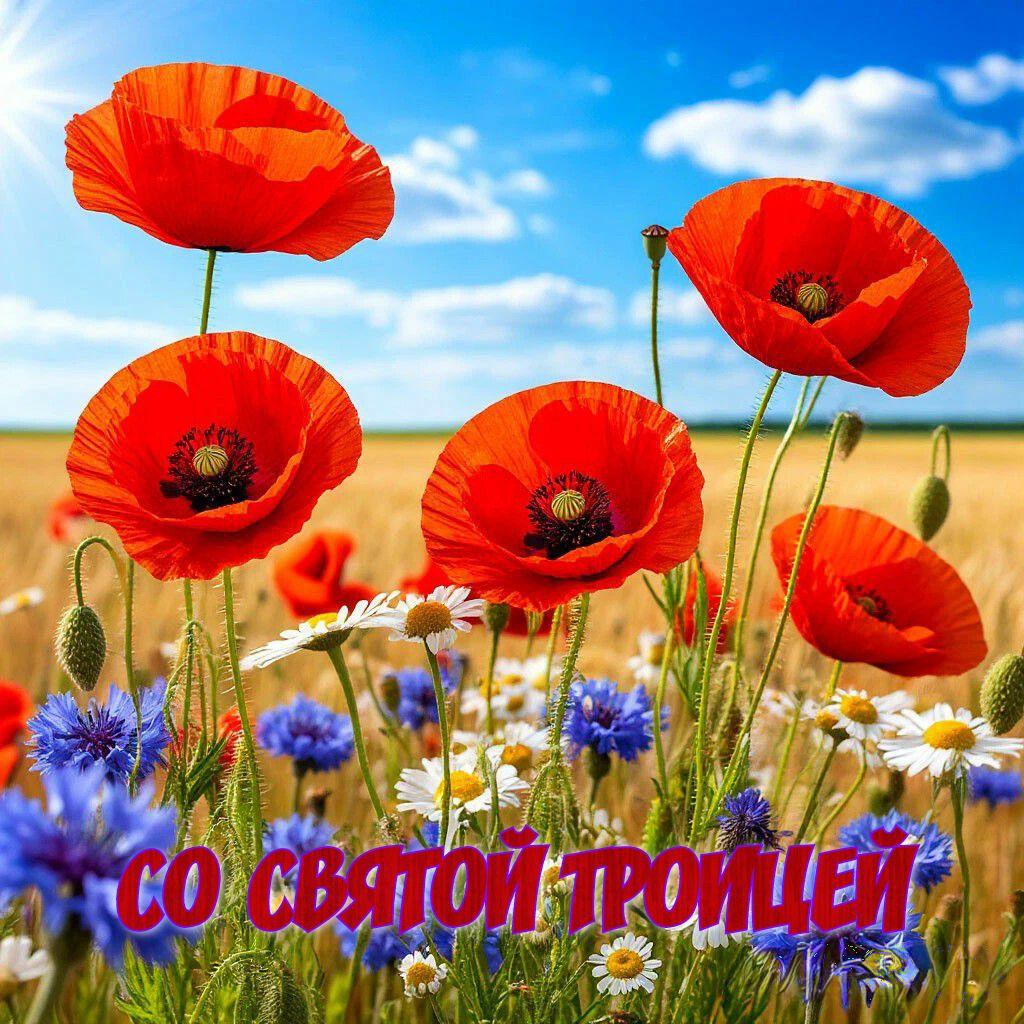 С Троицей