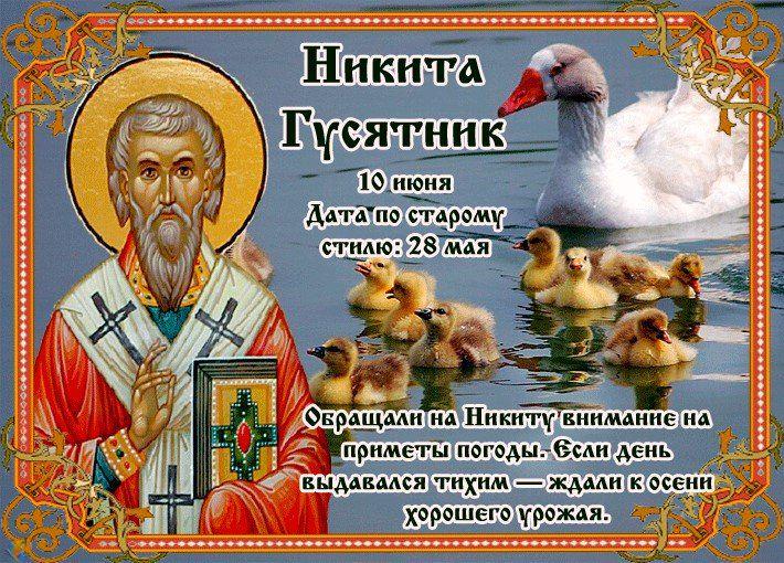 С Никитой Гусятником