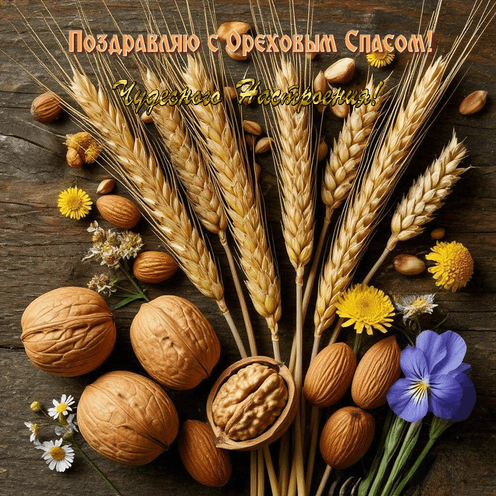 С Ореховым, Хлебным Спасом