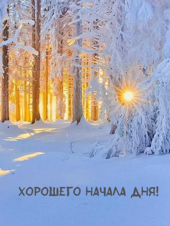 С Днем зимнего солнцестояния