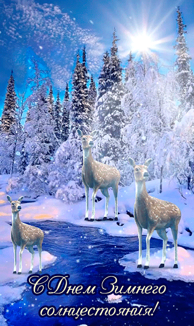 С Днем зимнего солнцестояния