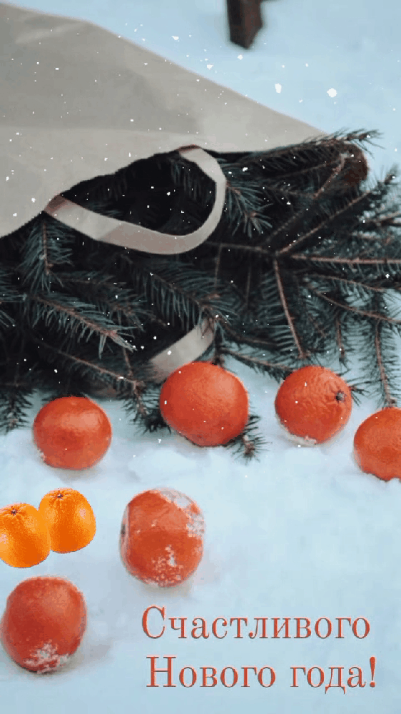 С Новым годом, 2026, с годом Лошади