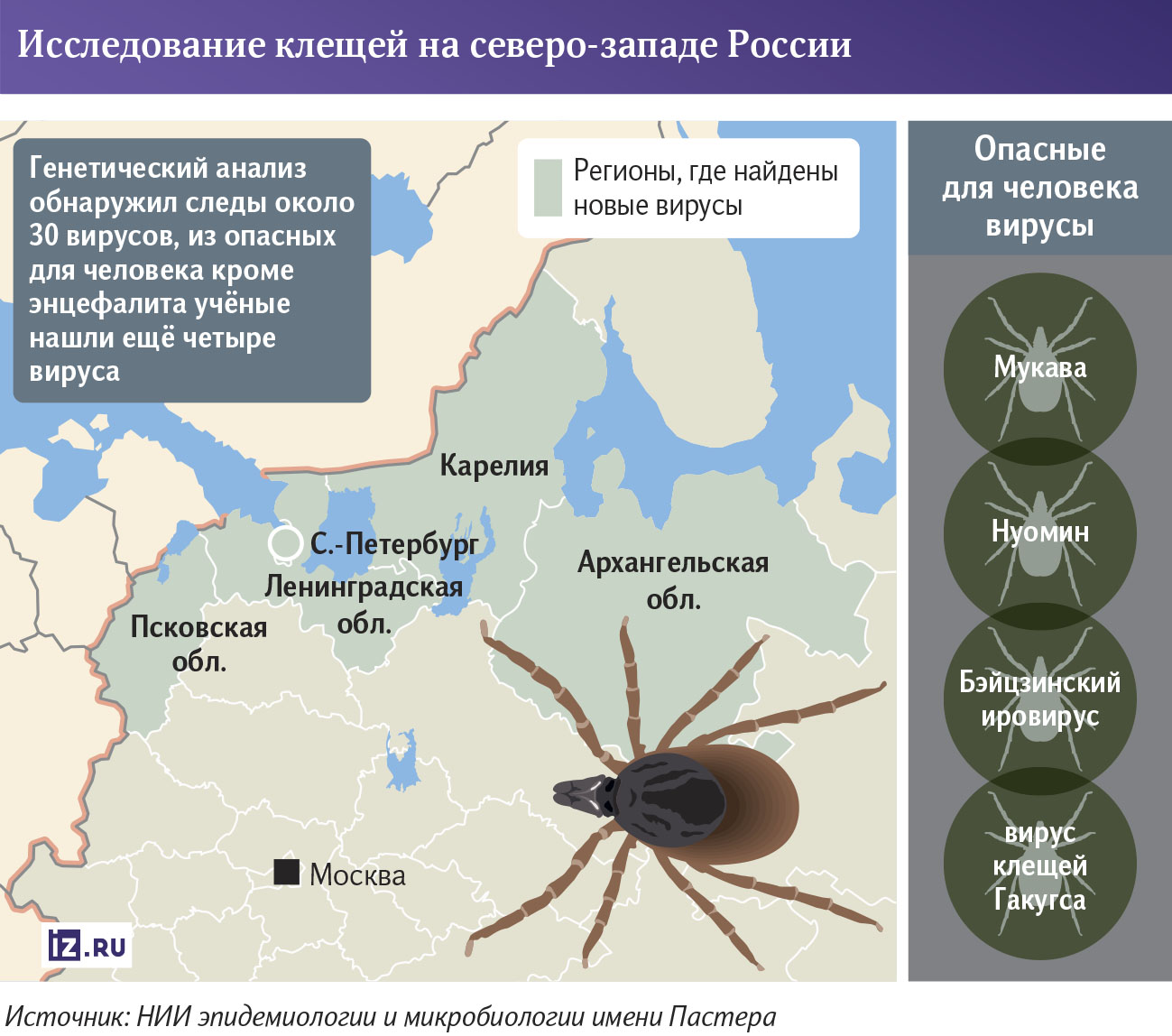 Клещи