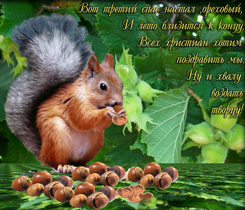 С Ореховым, Хлебным Спасом