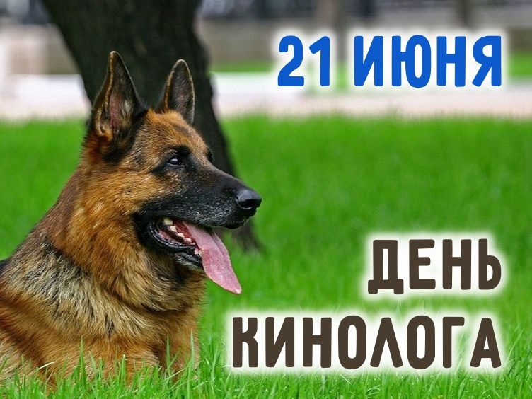 С Днем кинолога