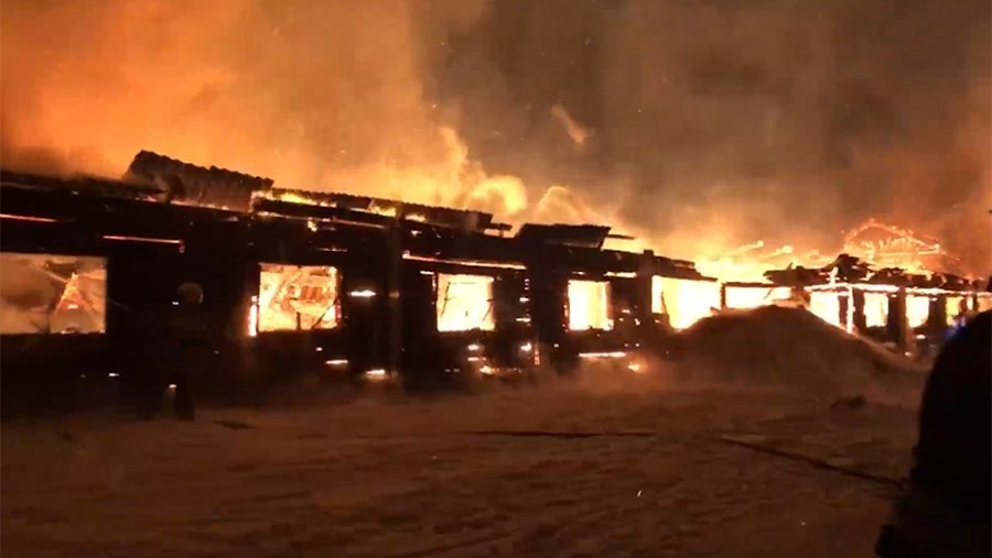 Более 40 телят сгорели в коровнике под Красноярском