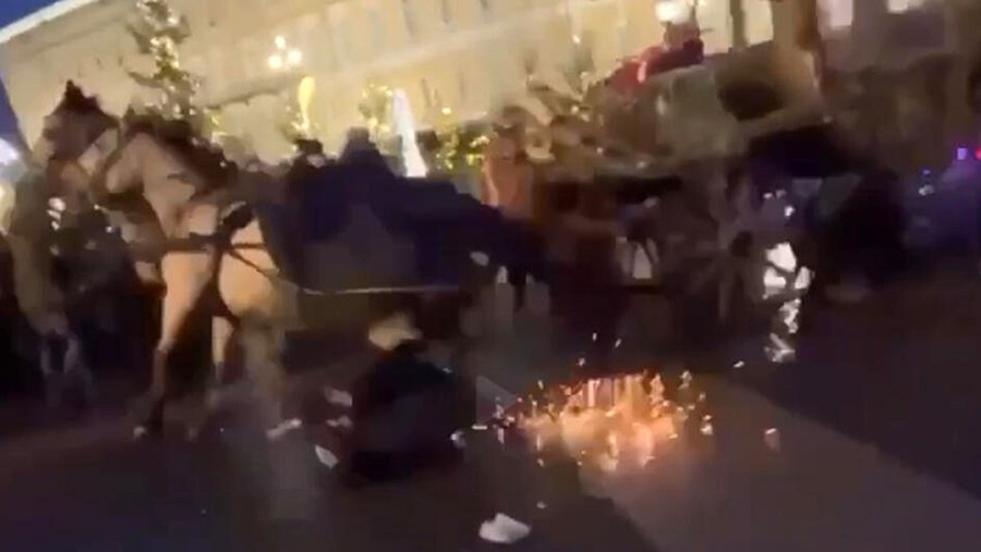 Полиция Петербурга раскрыла новые детали нападения лошади на людей