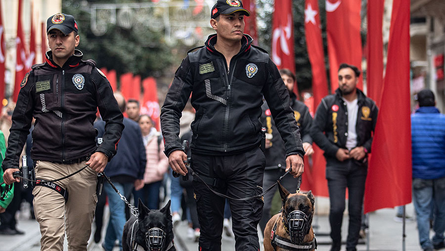 В Стамбуле задержали планировавшего нападения на туристов иностранца