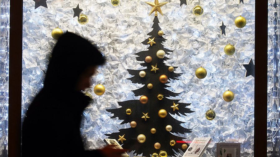 Депутат Госдумы предложил сократить новогодние праздники