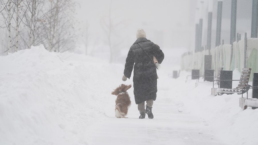 Синоптики обещали москвичам снег и метель в Московском регионе 11 февраля