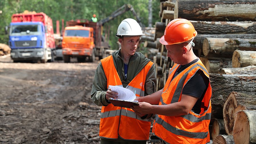 Путин заявил о серьезных вызовах для лесной промышленности из-за санкций