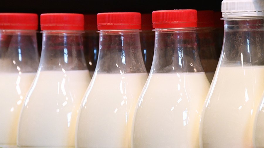 Молочные продукты для взрослых – вред или польза?