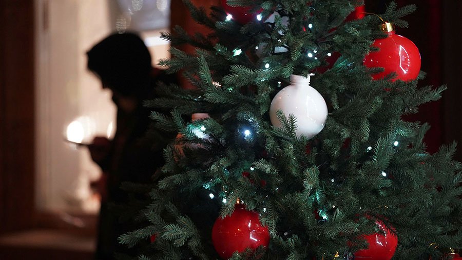 Власти Сочи прогнозируют увеличение турпотока в новогодние праздники на 42%