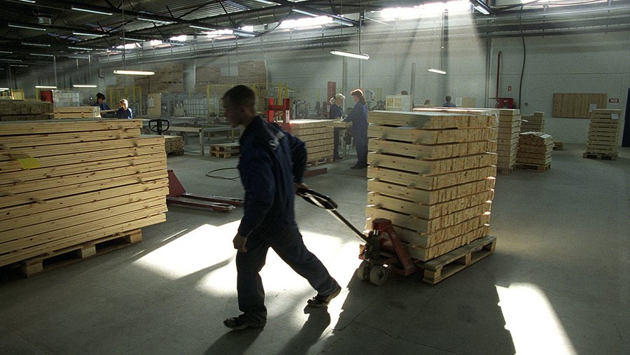 В Рослесинфорге рассказали о мерах поддержки деревообрабатывающей отрасли РФ