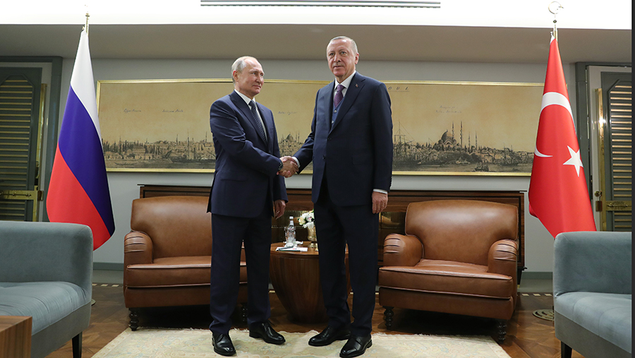 Песков раскрыл повестку встречи Путина и Эрдогана