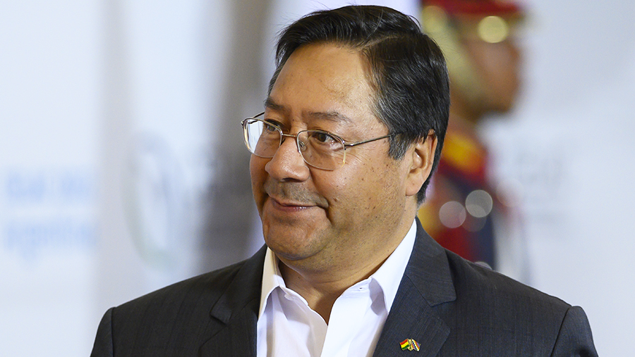 Посол рассказала о проработке визита президента Боливии в Россию