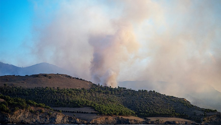 Спасатели эвакуировали 135 человек из-за лесного пожара в Каталонии