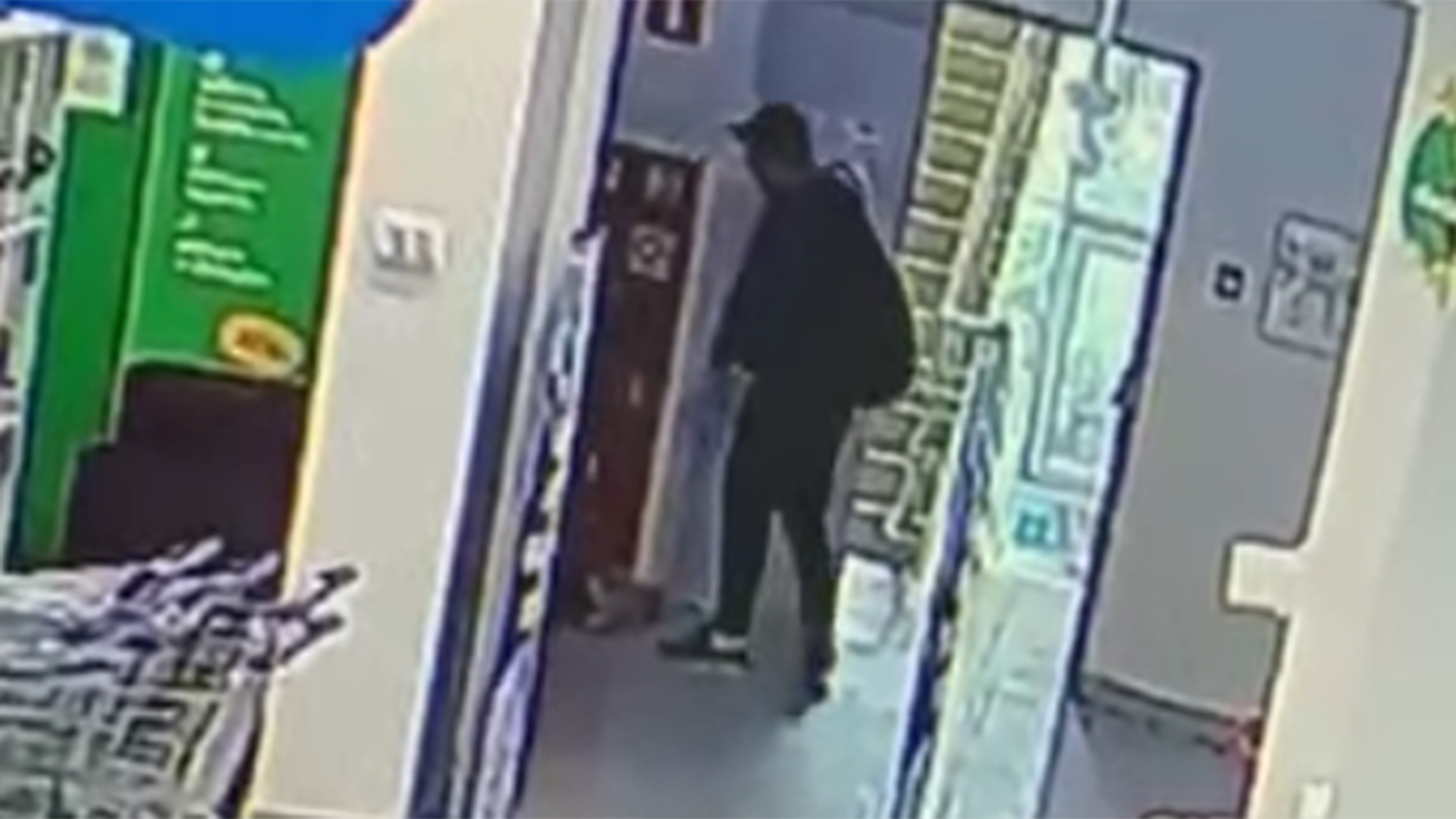 В Химках три дня ищут похищенную из магазина породистую собаку