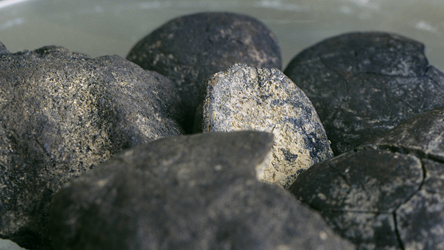 В Роснедрах оценили перспективы добычи марганца в Запорожской области