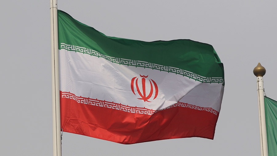 В ЕЭК одобрили намерение Ирана стать наблюдателем при ЕАЭС