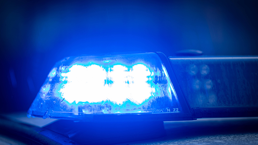 Бывшего бойца СС «Галичина» Гунько объявили в международный розыск