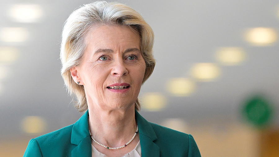 Глава Еврокомиссии выступила за решение отстреливать волков в Европе