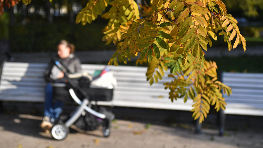 В Гидрометцентре спрогнозировали до +23 градусов 28 сентября в Москве