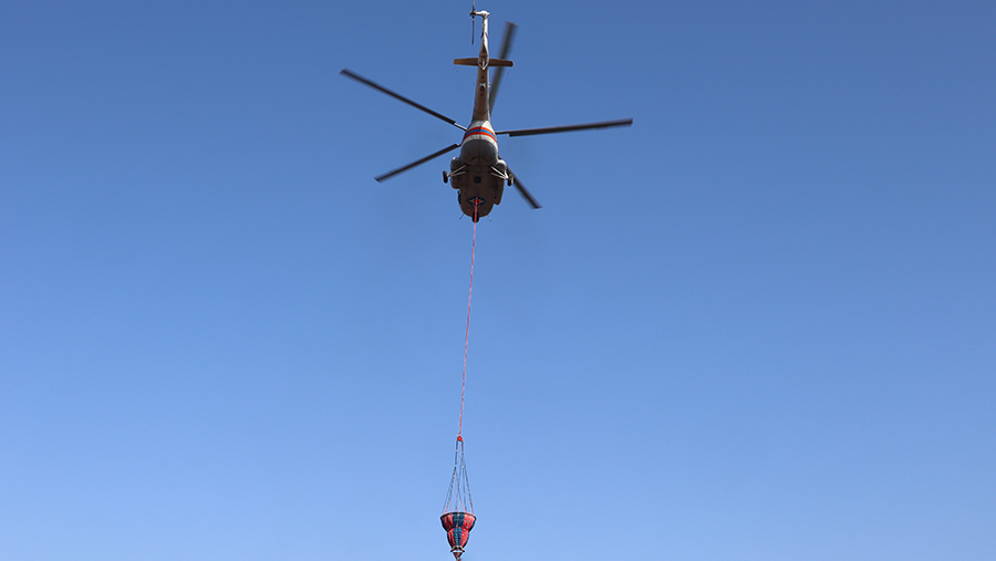 В Ростовской области загорелся лес после падения украинского беспилотника