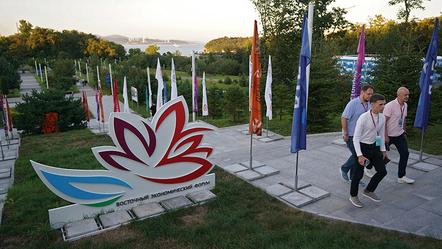 Синоптики назвали ясным и теплым первый день ВЭФ во Владивостоке