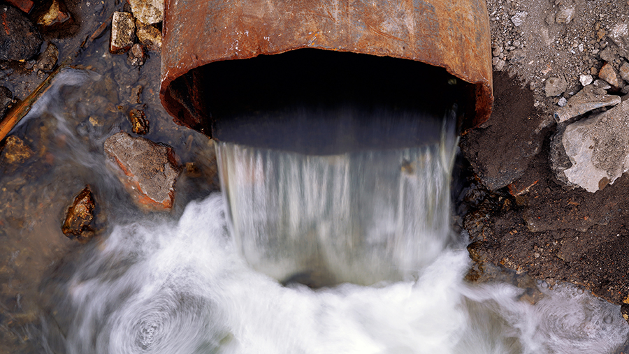 В ЕС обеспокоились влиянием антидепрессантов в сточных водах на экосистему Европы