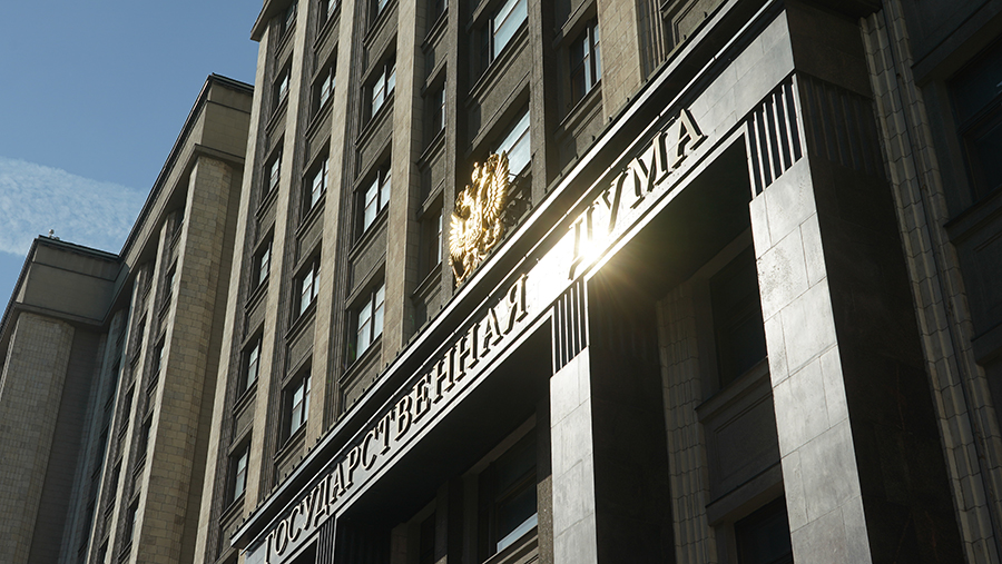 В Госдуме оценили возможность появления европейских миротворцев на Украине