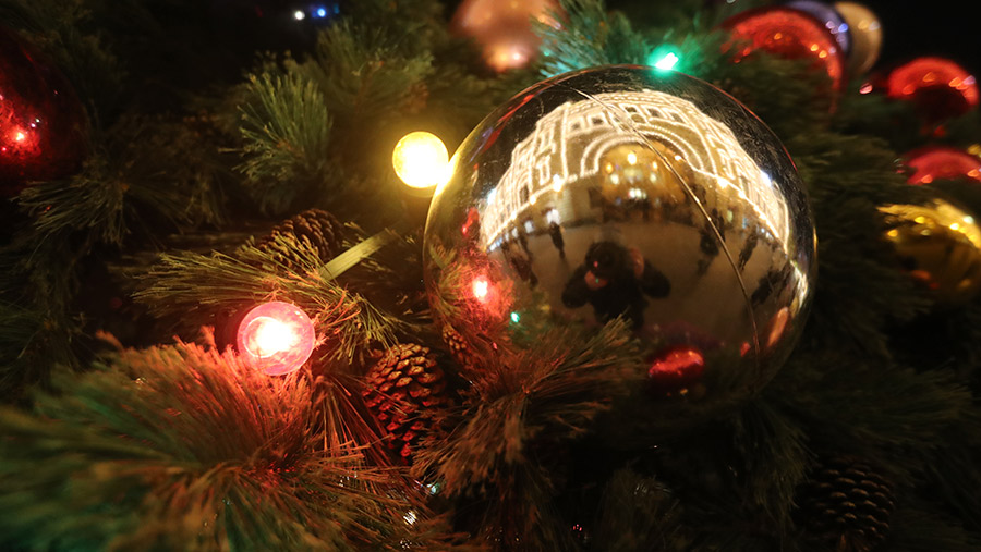 Теплая осень отсрочила ажиотаж вокруг покупки новогодних украшений