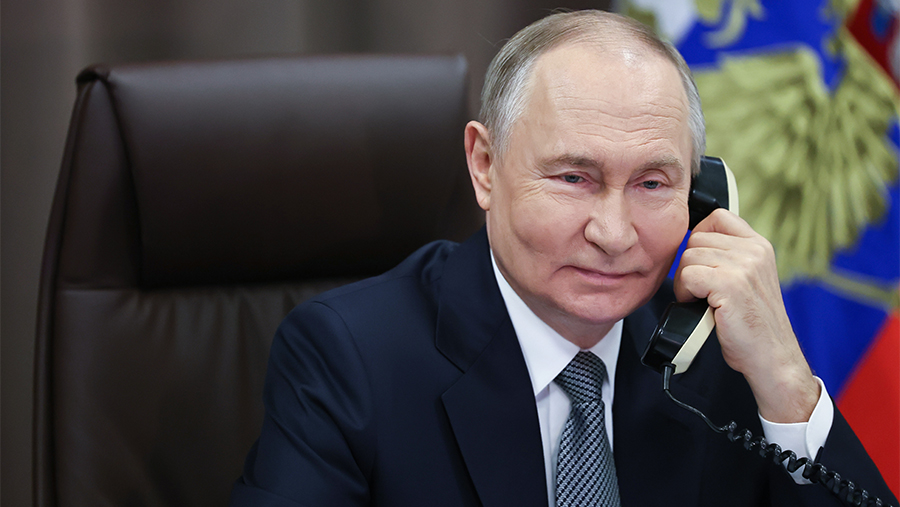 Путин созвонился с девочкой из ДНР после исполнения ее мечты в рамках «Елки желаний»