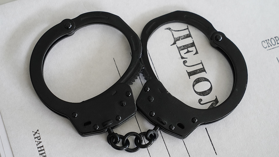 Дело возбудили после травмирования журналистки при попытке поговорить с британскими дипломатами