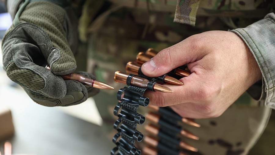 Король Нидерландов призвал страну вооружиться до зубов