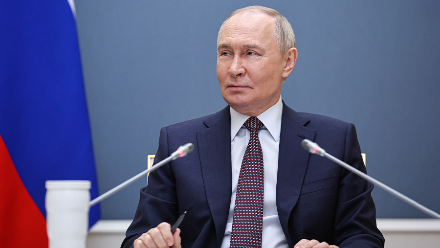 Уровень доверия россиян Путину составил более 81%