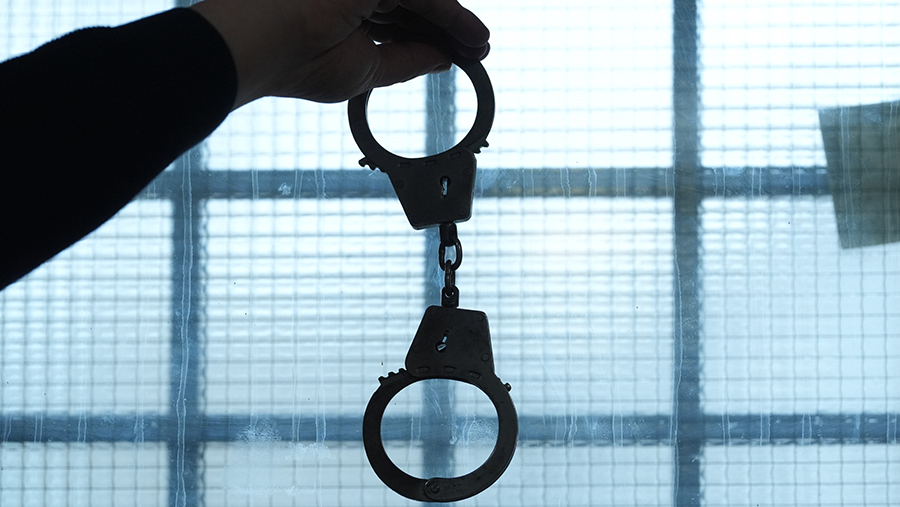 В Петербурге арестовали подозреваемую в подготовке теракта москвичку