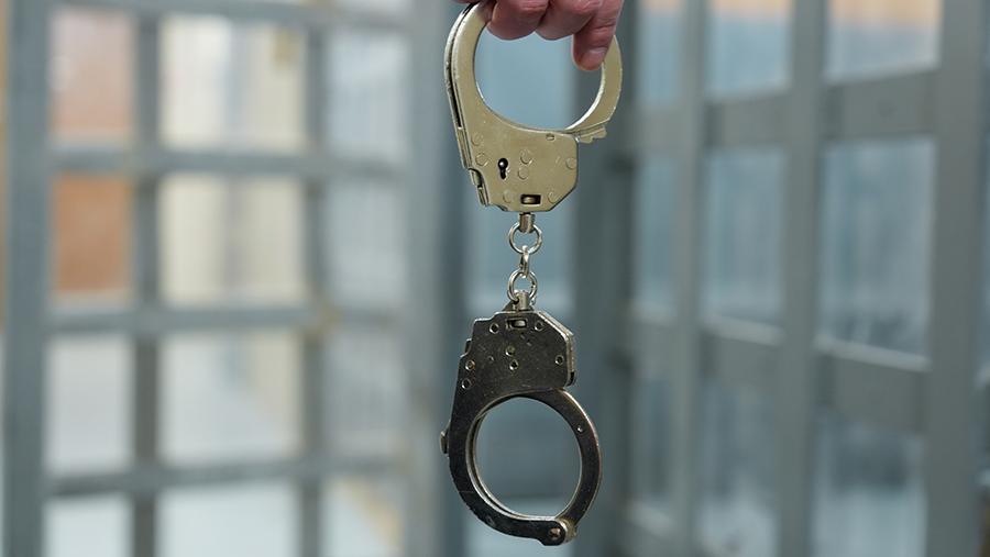 Воевавшую за ВСУ наемницу из Дании требуют приговорить к 30 годам заключения