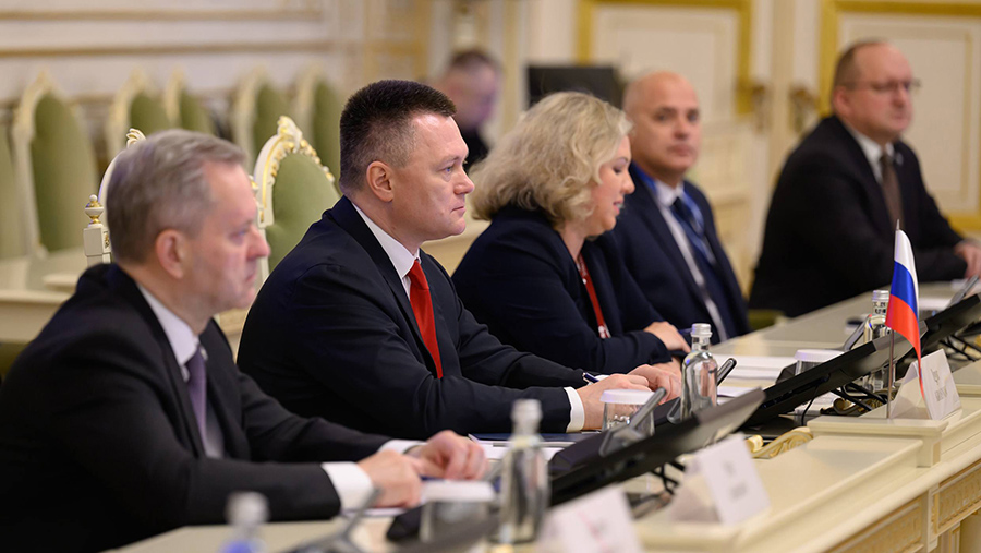 Краснов предложил создать группу для поддержки бизнеса между Россией и Турцией