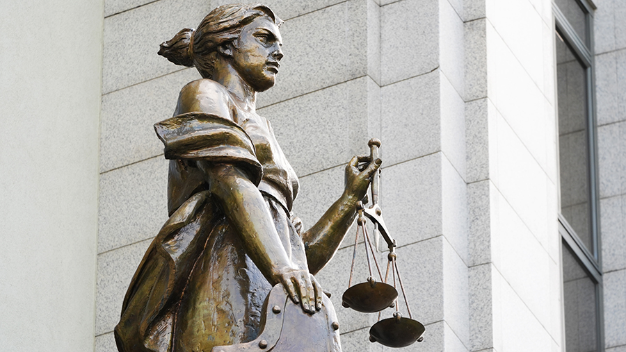 Серийный отравитель из Балашихи захотел лично представлять свои интересы в суде