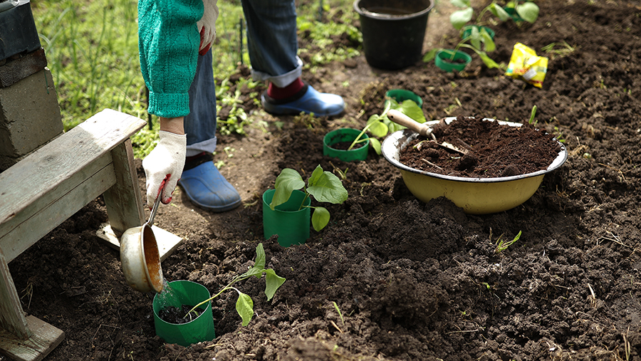 Дачников предупредили о наказании за нарушение нового закона о садоводстве