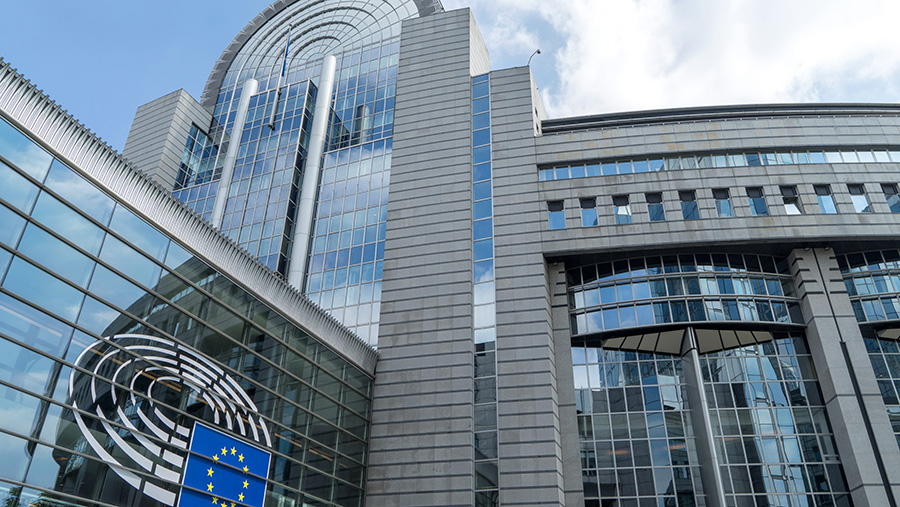 В ЕП заявили о планах обсудить с депутатами Госдумы изъятие российских активов