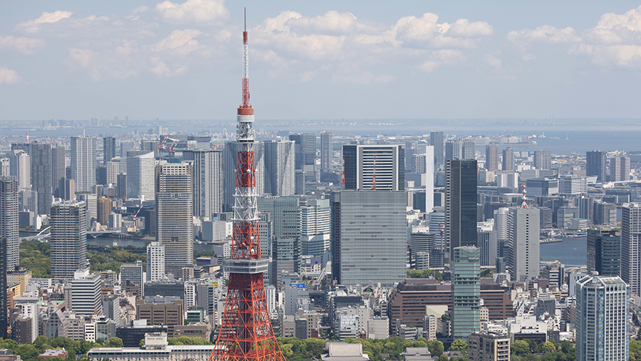 Турэксперт назвал число российских туристов в Японии в 2025 году