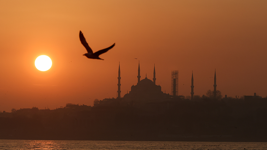 Веронский Евразийский Экономический форум примет участников в Стамбуле