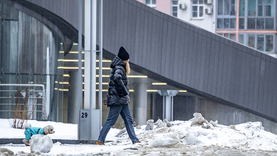 Синоптики спрогнозировали холодную зиму в России