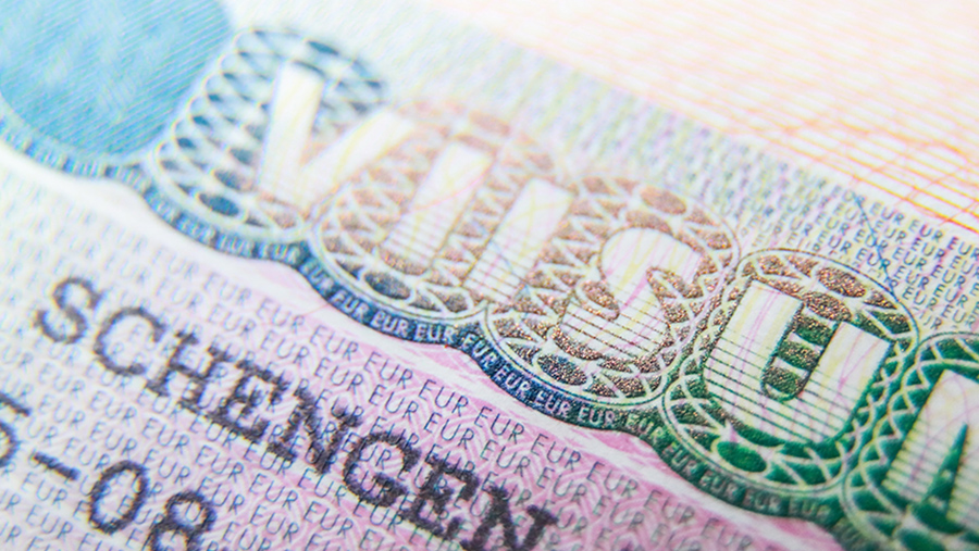 В Австрии указали на вмешательство в свободу человека запретом виз для граждан РФ