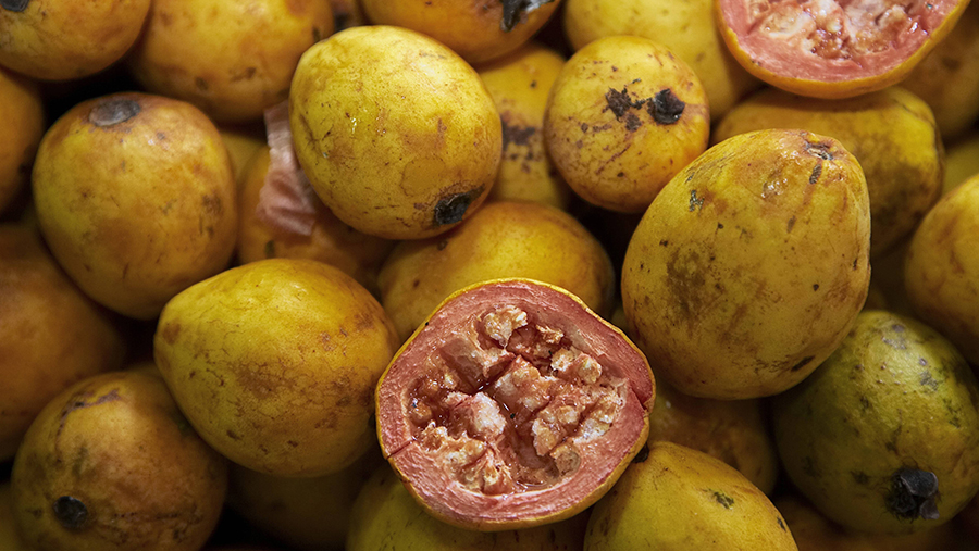 Диетолог рассказала о безопасной порции фейхоа за день