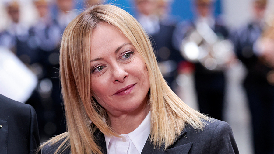 Саламоне призвал судить Мелони за политику против России