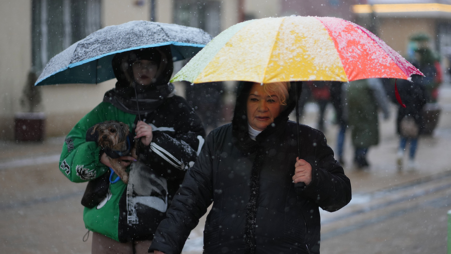 Синоптики спрогнозировали похолодание и мокрый снег в Москве 15 ноября
