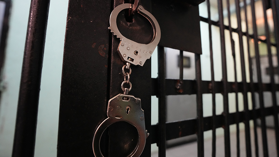 В Петербурге арестованы трое фигурантов по делу об убийстве семейной пары в ОАЭ